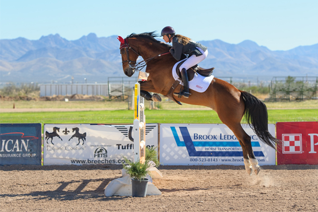 EQUESTRIANISM